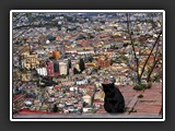Naples  depuis le Vomero