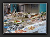 Naples via Pignasecca 2