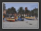 noli la plage