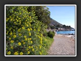 plage de balzi rossi 5