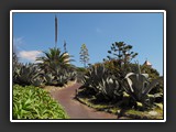 Bordighera via sant Empellio