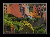 manarola-14 HDR