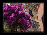 manarola-17