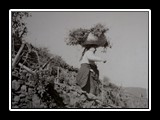 manarola-7