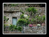 manarola-8