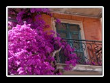 monterosso-11