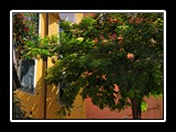 riomaggiore-3 HDR