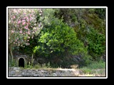 vernezza-6