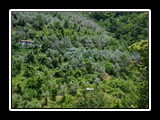 castel-vittorio-12