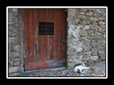 Pigna_10