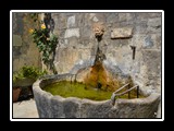 Pigna_21