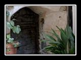 Pigna_7