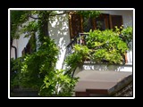 limone_piemonte_2