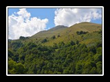 limonetto_11
