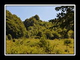 limonetto_12