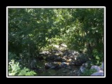 limonetto_13