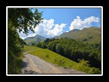 limonetto_16