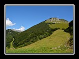 limonetto_19