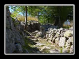 limonetto_21
