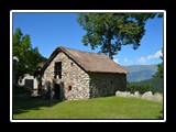 limonetto_23