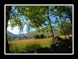 limonetto_28