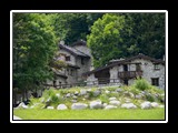 limonetto_6
