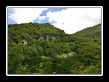 limonetto_9