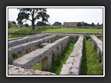 paestum la piscine