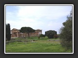 paestum_temple_de_ceres-1