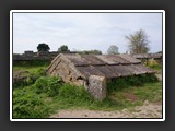 paestum_tombe