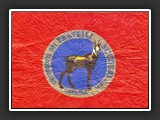camoscio