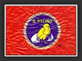 pulcino