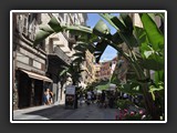 corso matteoti