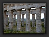 segeste-14