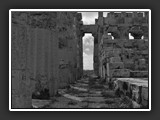 selinonte-10