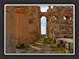 selinonte-11
