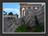 selinonte-16