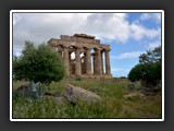 selinonte-20