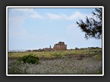 selinonte-3