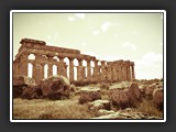 selinonte-5