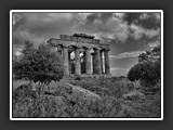 selinonte-6