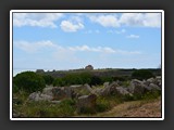 selinonte-7