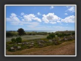 selinonte-9