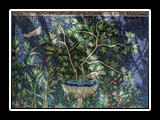 sorrente_27