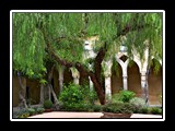 sorrente_29