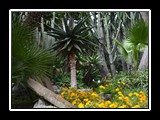 sorrente_36