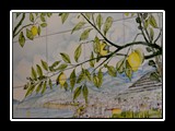 sorrente_40