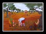 galipoli_1