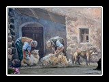 sardaigne tinnura_9