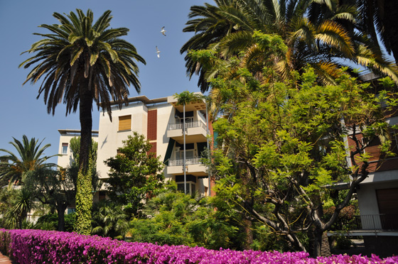 palmiers a bordighera